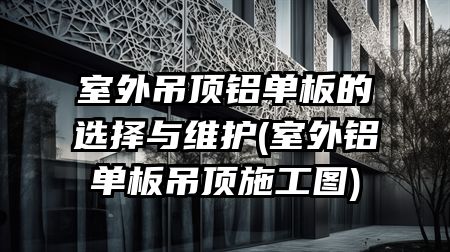 室外吊顶铝单板的选择与维护(室外铝单板吊顶施工图)